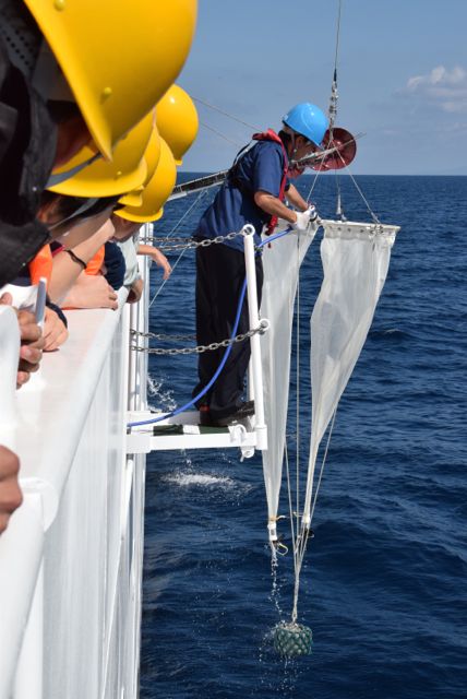 プランクトンネットを海中に垂直に沈めて動物プランクトンを採集します