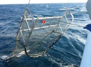 Sled type trawl net